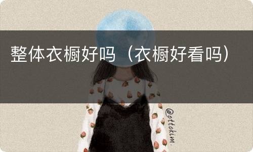 整体衣橱好吗（衣橱好看吗）