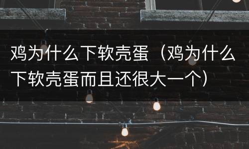 鸡为什么下软壳蛋（鸡为什么下软壳蛋而且还很大一个）
