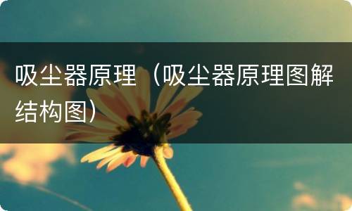 吸尘器原理（吸尘器原理图解结构图）