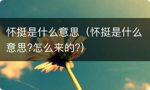 怀挺是什么意思（怀挺是什么意思?怎么来的?）