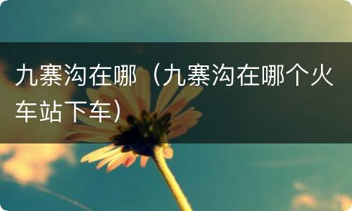 九寨沟在哪（九寨沟在哪个火车站下车）