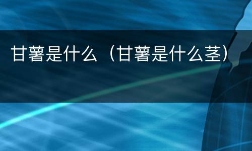 甘薯是什么（甘薯是什么茎）