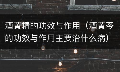 酒黄精的功效与作用（酒黄芩的功效与作用主要治什么病）