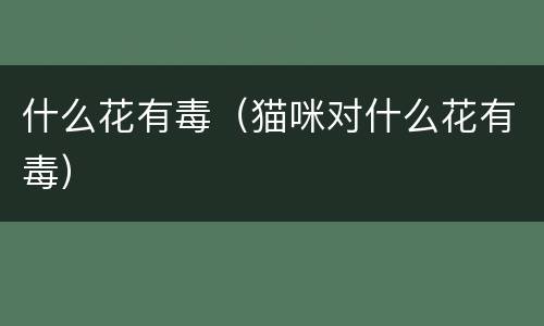 什么花有毒（猫咪对什么花有毒）