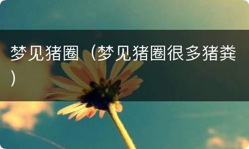 梦见猪圈（梦见猪圈很多猪粪）