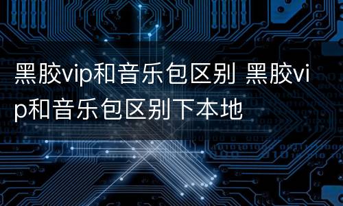 黑胶vip和音乐包区别 黑胶vip和音乐包区别下本地