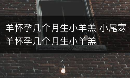 羊怀孕几个月生小羊羔 小尾寒羊怀孕几个月生小羊羔