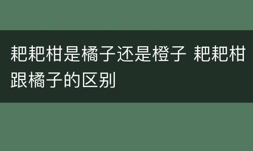 耙耙柑是橘子还是橙子 耙耙柑跟橘子的区别