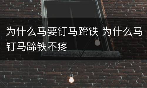 为什么马要钉马蹄铁 为什么马钉马蹄铁不疼