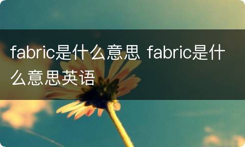 fabric是什么意思 fabric是什么意思英语