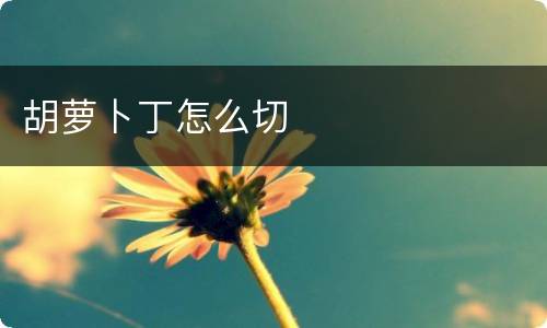 胡萝卜丁怎么切