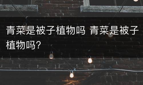 青菜是被子植物吗 青菜是被子植物吗?