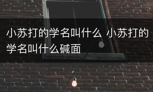 小苏打的学名叫什么 小苏打的学名叫什么碱面