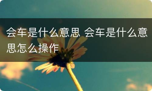 会车是什么意思 会车是什么意思怎么操作