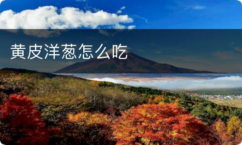 黄皮洋葱怎么吃