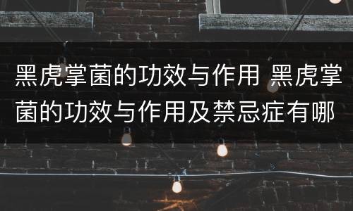 黑虎掌菌的功效与作用 黑虎掌菌的功效与作用及禁忌症有哪些