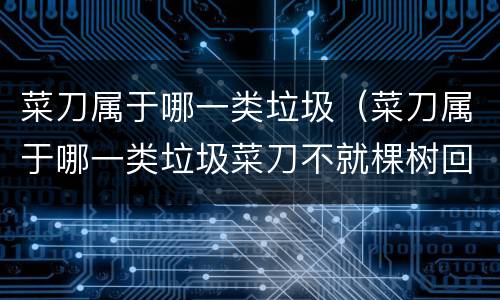 菜刀属于哪一类垃圾（菜刀属于哪一类垃圾菜刀不就棵树回收吗）