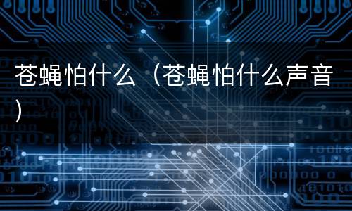 苍蝇怕什么（苍蝇怕什么声音）