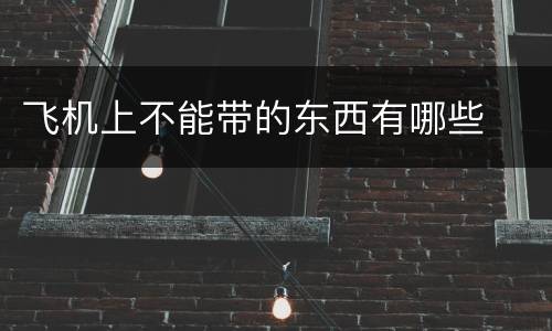 飞机上不能带的东西有哪些