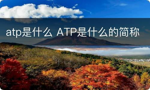 atp是什么 ATP是什么的简称