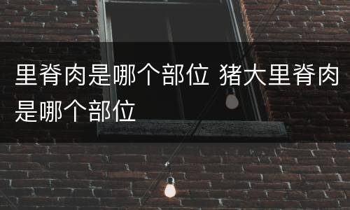 里脊肉是哪个部位 猪大里脊肉是哪个部位