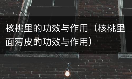 核桃里的功效与作用（核桃里面薄皮的功效与作用）