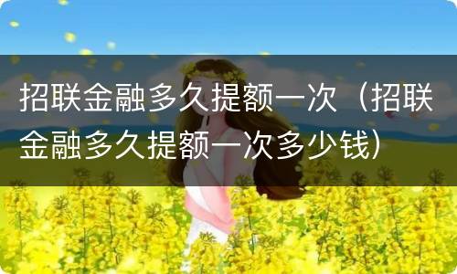 招联金融多久提额一次（招联金融多久提额一次多少钱）