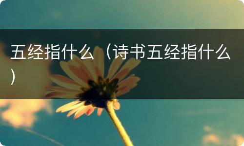 五经指什么（诗书五经指什么）
