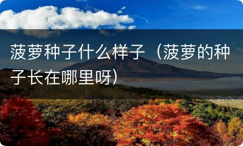 菠萝种子什么样子（菠萝的种子长在哪里呀）