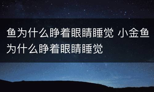 鱼为什么睁着眼睛睡觉 小金鱼为什么睁着眼睛睡觉