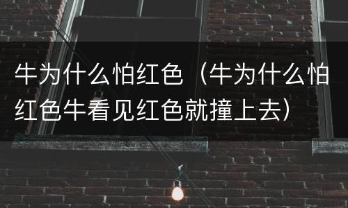 牛为什么怕红色（牛为什么怕红色牛看见红色就撞上去）