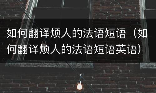 如何翻译烦人的法语短语（如何翻译烦人的法语短语英语）