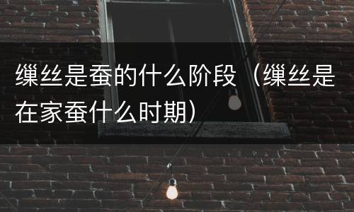 缫丝是蚕的什么阶段（缫丝是在家蚕什么时期）