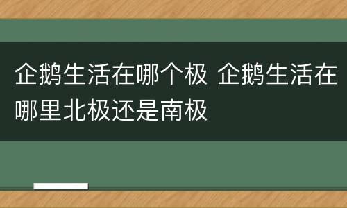 企鹅生活在哪个极 企鹅生活在哪里北极还是南极