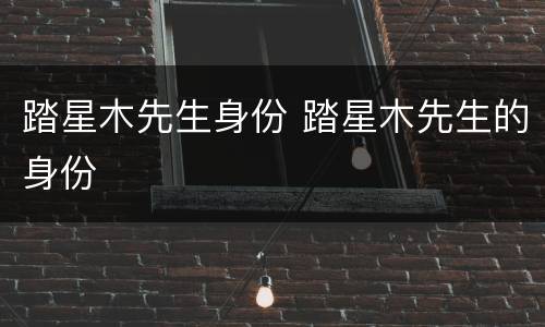 踏星木先生身份 踏星木先生的身份