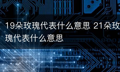 19朵玫瑰代表什么意思 21朵玫瑰代表什么意思