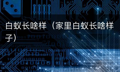 白蚁长啥样（家里白蚁长啥样子）