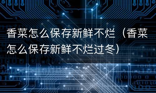 香菜怎么保存新鲜不烂（香菜怎么保存新鲜不烂过冬）