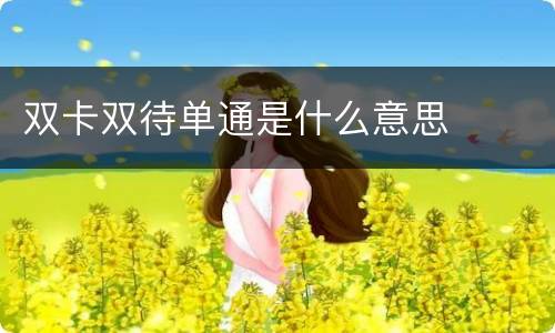 双卡双待单通是什么意思