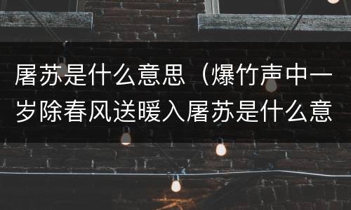 屠苏是什么意思（爆竹声中一岁除春风送暖入屠苏是什么意思）