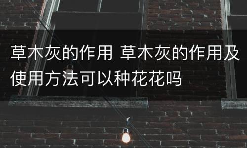 草木灰的作用 草木灰的作用及使用方法可以种花花吗