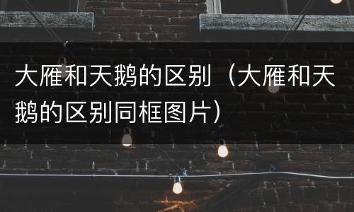 大雁和天鹅的区别（大雁和天鹅的区别同框图片）