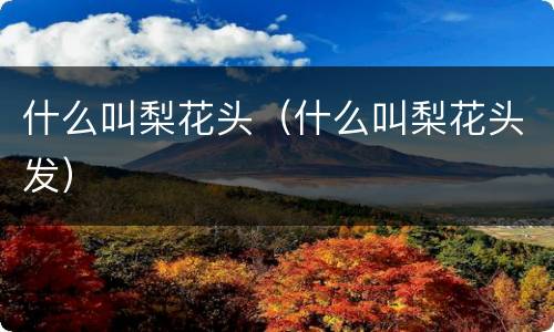 什么叫梨花头（什么叫梨花头发）