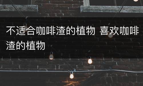 不适合咖啡渣的植物 喜欢咖啡渣的植物