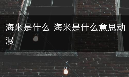 海米是什么 海米是什么意思动漫