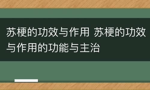 苏梗的功效与作用 苏梗的功效与作用的功能与主治