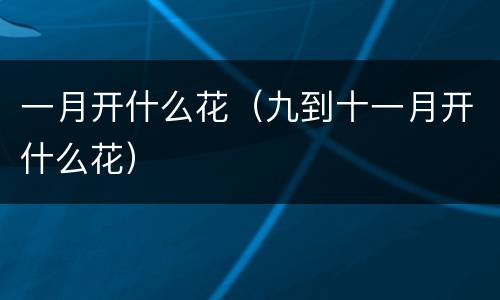 一月开什么花（九到十一月开什么花）
