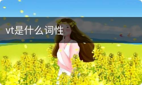 vt是什么词性