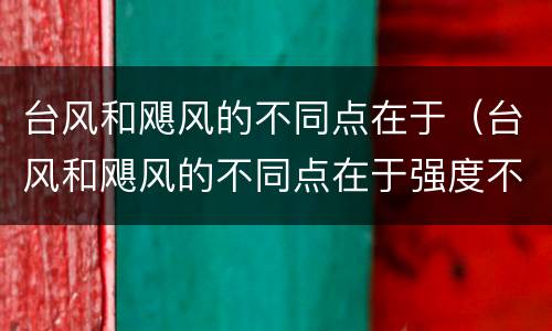 台风和飓风的不同点在于（台风和飓风的不同点在于强度不同）
