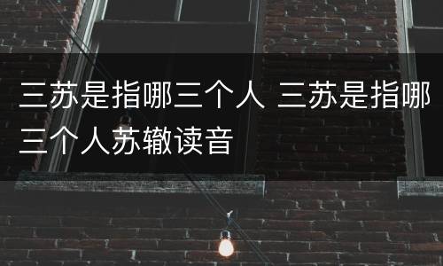 三苏是指哪三个人 三苏是指哪三个人苏辙读音
